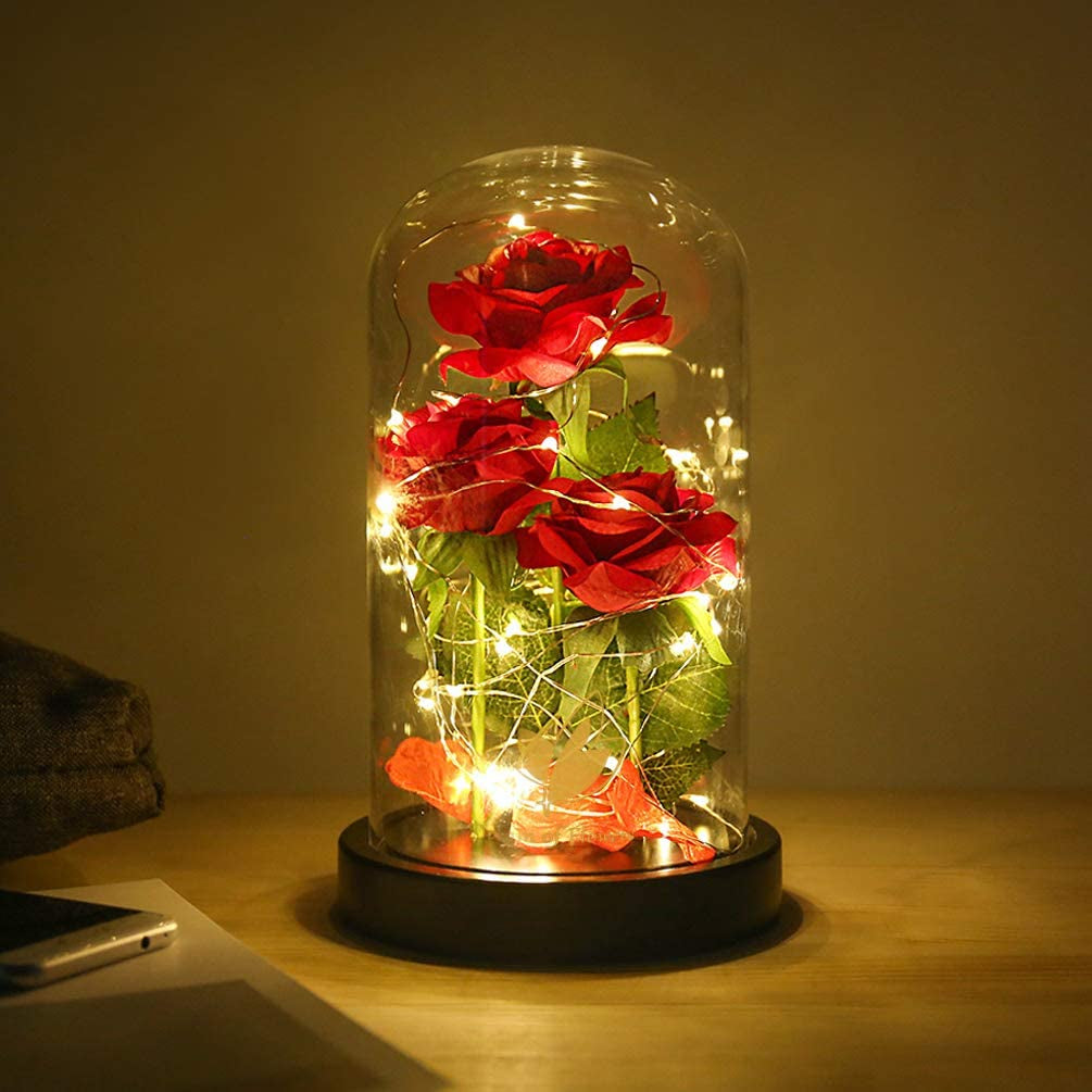 Valentines Day Gifts for Her,Beauty and the Beast Rose in Glass Dome,Anniversary Rose Gifts for Wife,Valentines Flowers Birthday Gifts for Women,Romantic Red Silk Rose Flower Gifts for Women