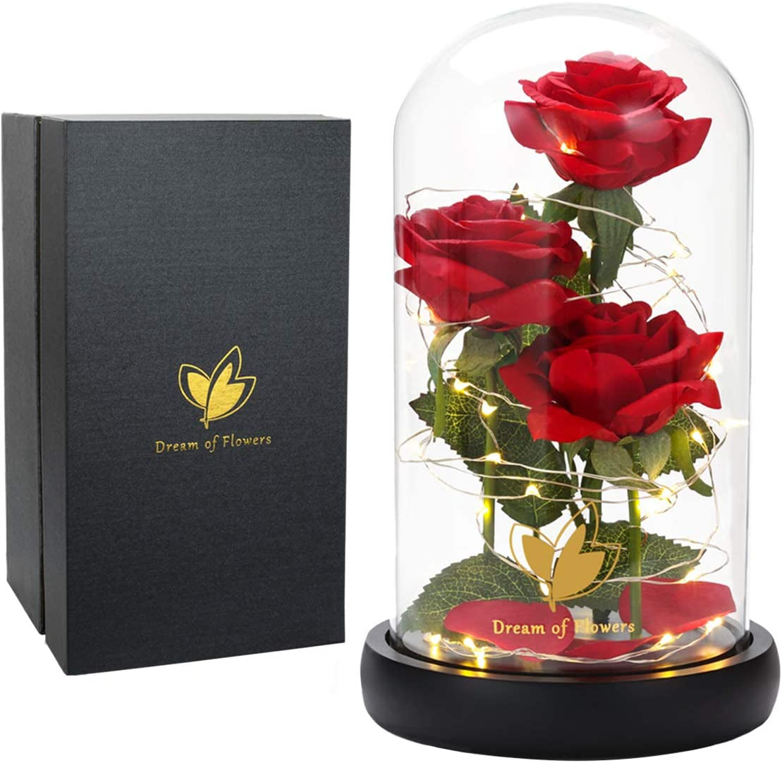 Valentines Day Gifts for Her,Beauty and the Beast Rose in Glass Dome,Anniversary Rose Gifts for Wife,Valentines Flowers Birthday Gifts for Women,Romantic Red Silk Rose Flower Gifts for Women