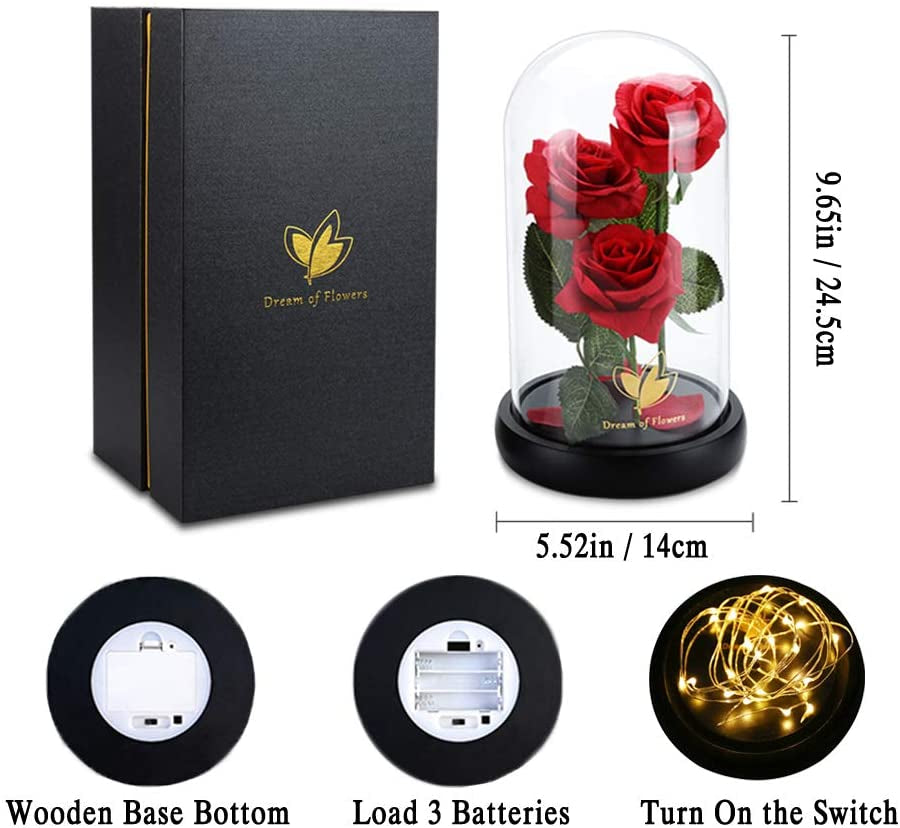 Valentines Day Gifts for Her,Beauty and the Beast Rose in Glass Dome,Anniversary Rose Gifts for Wife,Valentines Flowers Birthday Gifts for Women,Romantic Red Silk Rose Flower Gifts for Women